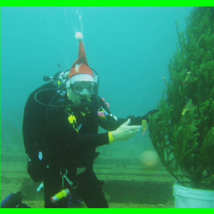 XMas Dive 06-Dec-09_487 - Irishman and Christmas.jpg